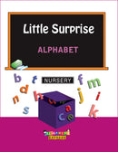 Little Surprise Kit - NURSERY - Vikram Books